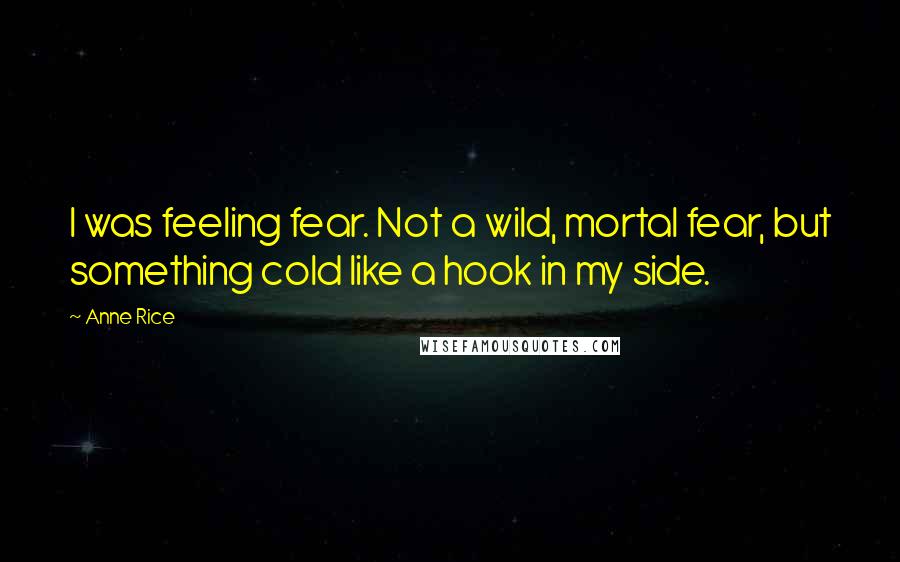 Anne Rice Quotes: I was feeling fear. Not a wild, mortal fear, but something cold like a hook in my side.