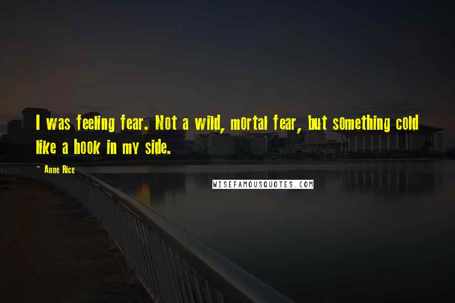 Anne Rice Quotes: I was feeling fear. Not a wild, mortal fear, but something cold like a hook in my side.