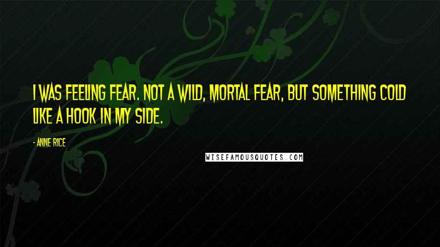 Anne Rice Quotes: I was feeling fear. Not a wild, mortal fear, but something cold like a hook in my side.