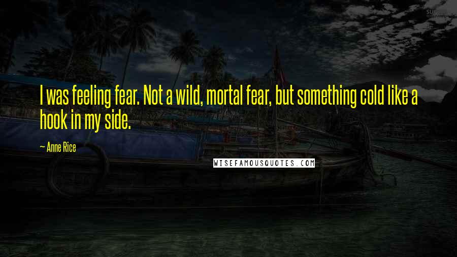 Anne Rice Quotes: I was feeling fear. Not a wild, mortal fear, but something cold like a hook in my side.