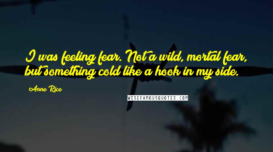 Anne Rice Quotes: I was feeling fear. Not a wild, mortal fear, but something cold like a hook in my side.