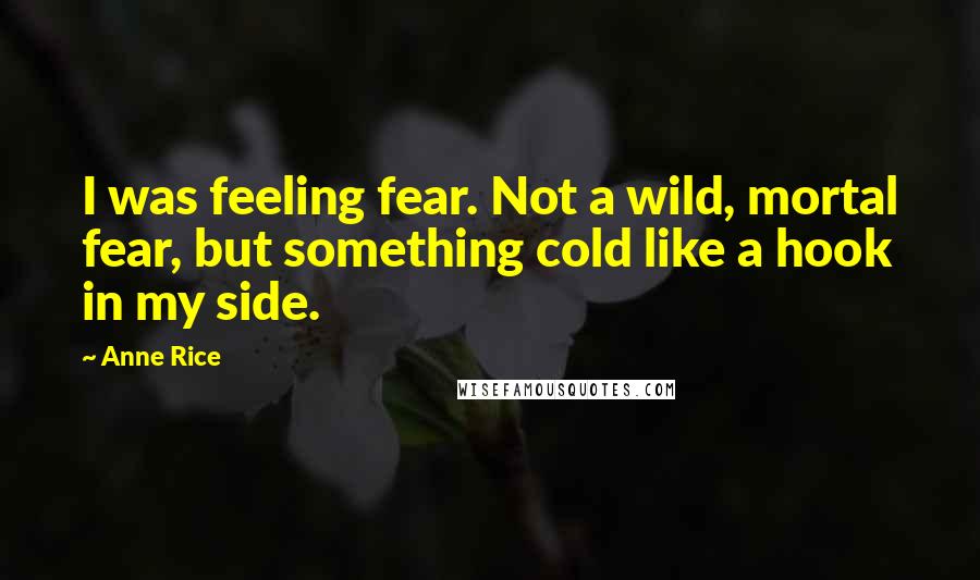 Anne Rice Quotes: I was feeling fear. Not a wild, mortal fear, but something cold like a hook in my side.