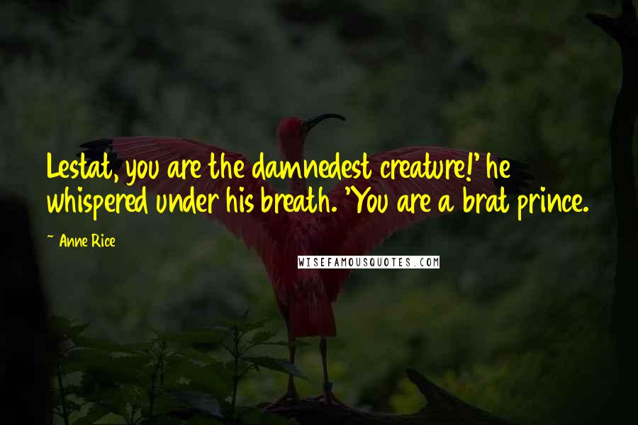 Anne Rice Quotes: Lestat, you are the damnedest creature!' he whispered under his breath. 'You are a brat prince.