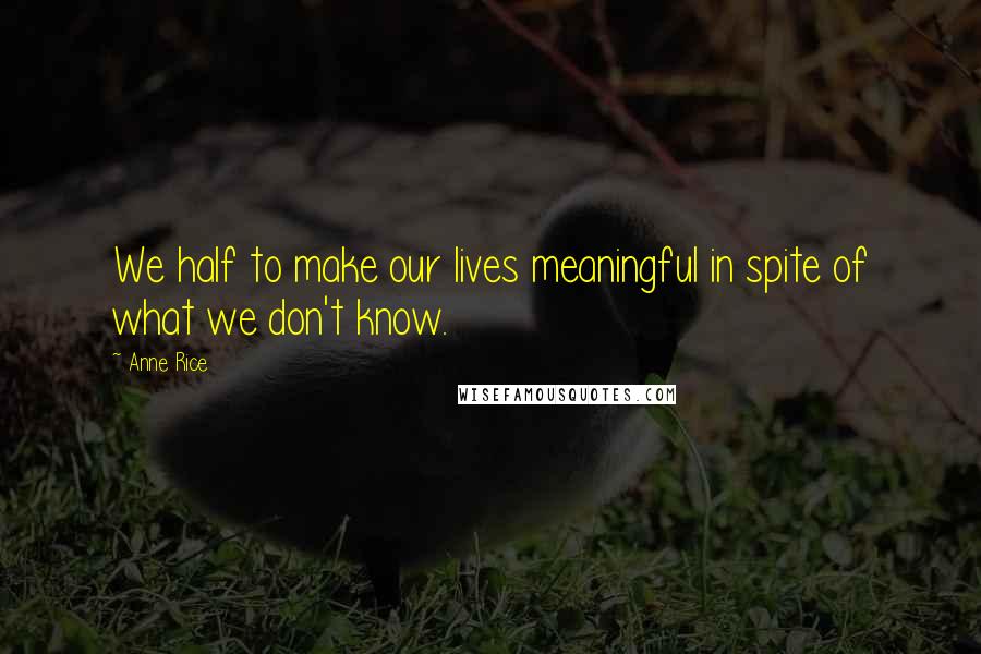 Anne Rice Quotes: We half to make our lives meaningful in spite of what we don't know.