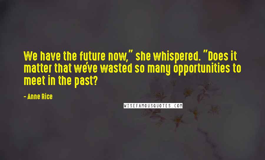 Anne Rice Quotes: We have the future now," she whispered. "Does it matter that we've wasted so many opportunities to meet in the past?