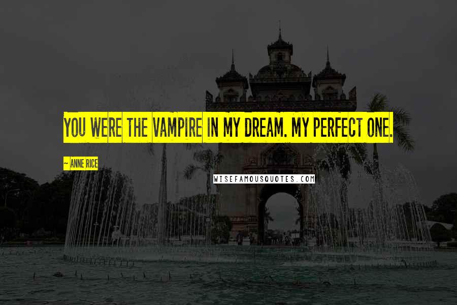 Anne Rice Quotes: You were the vampire in my dream. My perfect one.