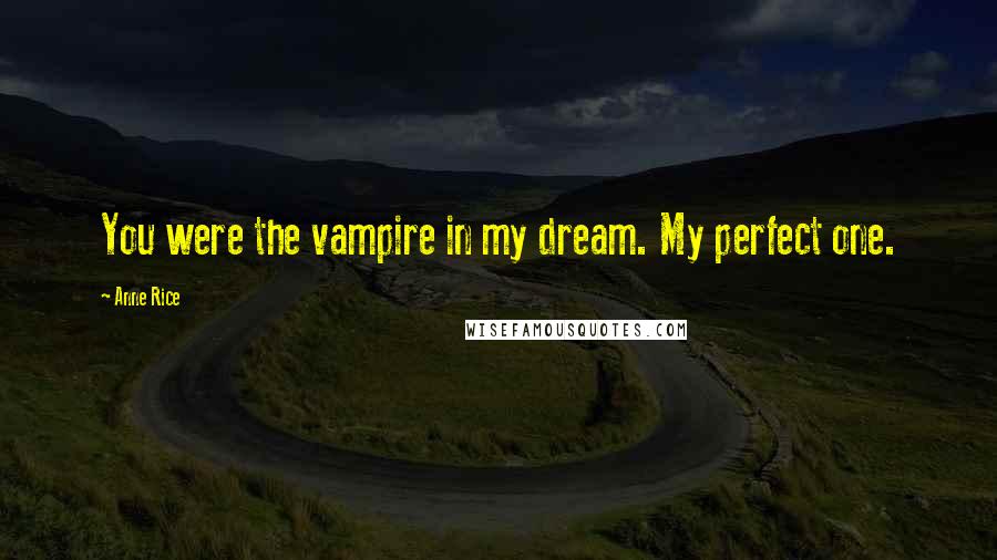 Anne Rice Quotes: You were the vampire in my dream. My perfect one.