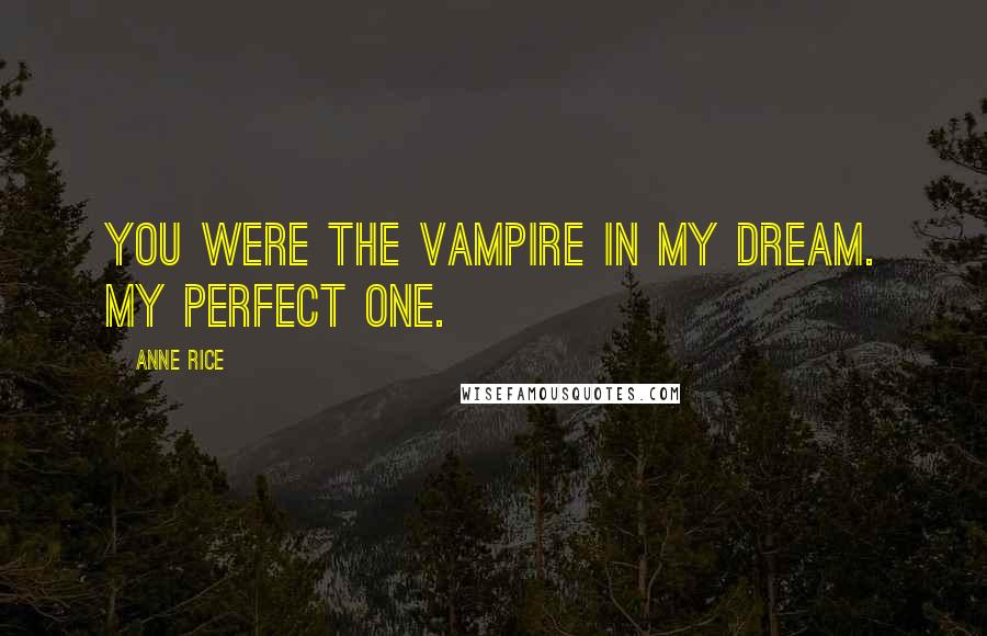 Anne Rice Quotes: You were the vampire in my dream. My perfect one.