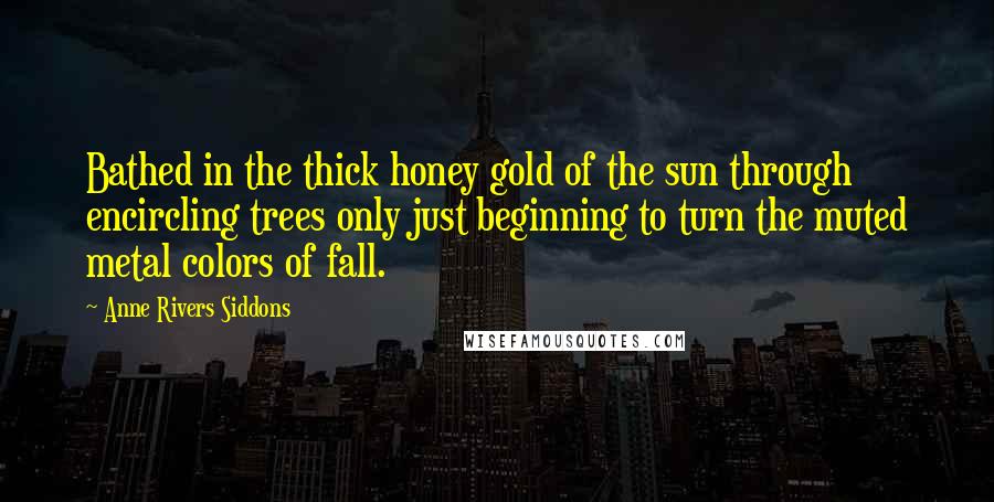 Anne Rivers Siddons Quotes: Bathed in the thick honey gold of the sun through encircling trees only just beginning to turn the muted metal colors of fall.