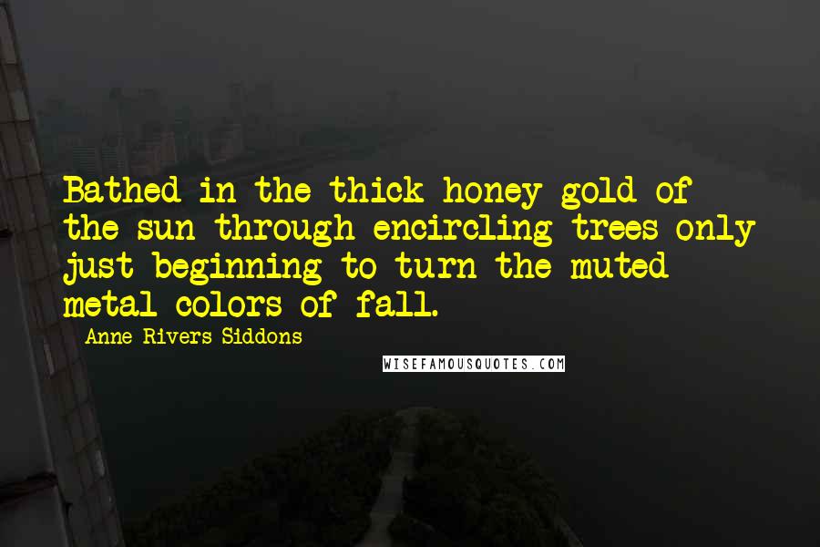 Anne Rivers Siddons Quotes: Bathed in the thick honey gold of the sun through encircling trees only just beginning to turn the muted metal colors of fall.