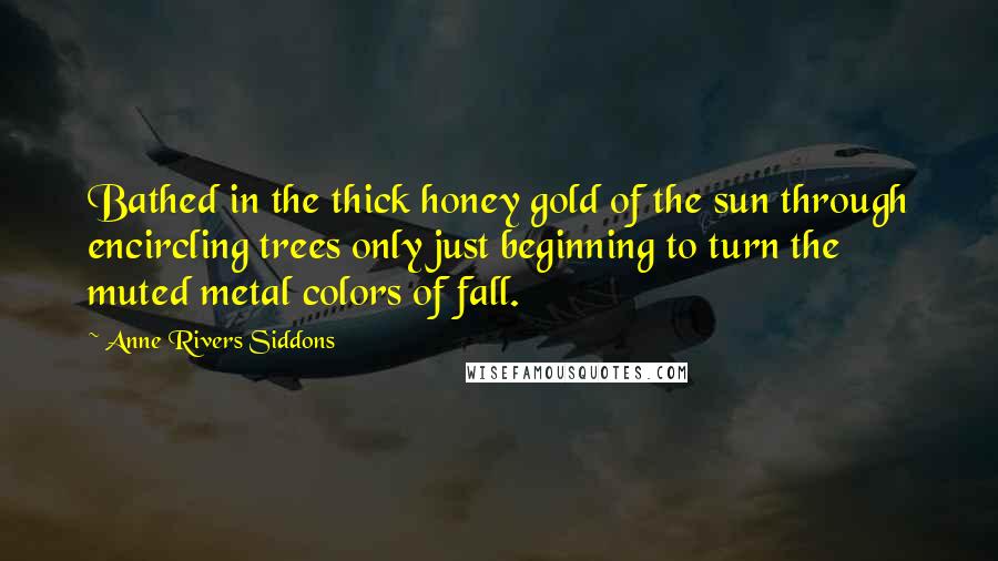 Anne Rivers Siddons Quotes: Bathed in the thick honey gold of the sun through encircling trees only just beginning to turn the muted metal colors of fall.