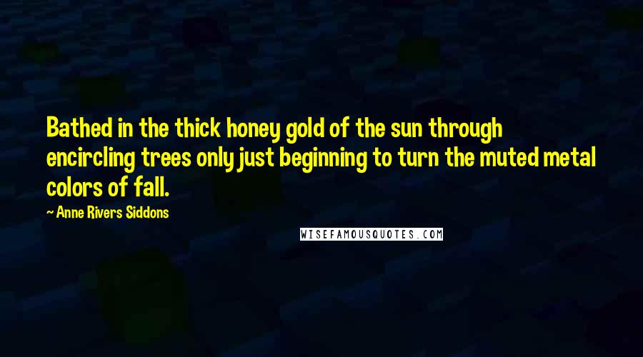 Anne Rivers Siddons Quotes: Bathed in the thick honey gold of the sun through encircling trees only just beginning to turn the muted metal colors of fall.