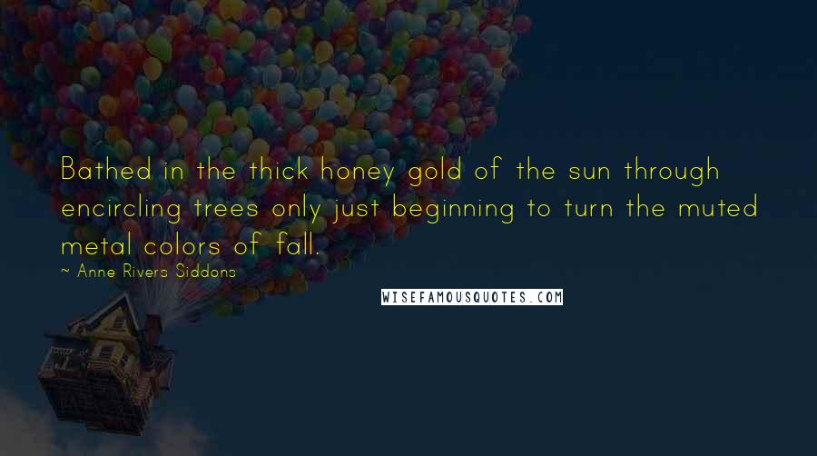 Anne Rivers Siddons Quotes: Bathed in the thick honey gold of the sun through encircling trees only just beginning to turn the muted metal colors of fall.