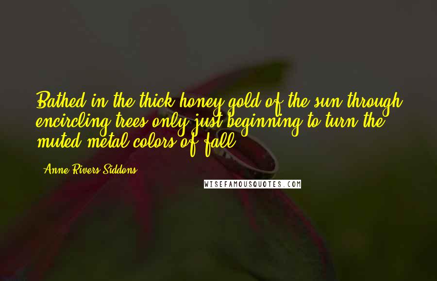 Anne Rivers Siddons Quotes: Bathed in the thick honey gold of the sun through encircling trees only just beginning to turn the muted metal colors of fall.