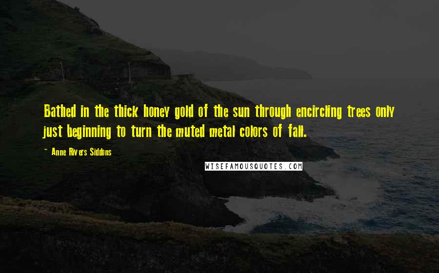 Anne Rivers Siddons Quotes: Bathed in the thick honey gold of the sun through encircling trees only just beginning to turn the muted metal colors of fall.