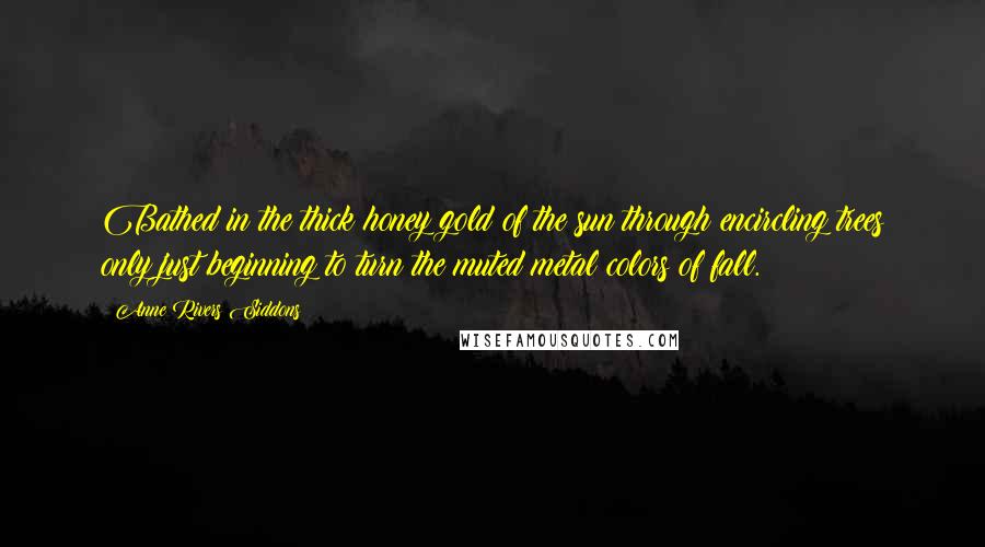 Anne Rivers Siddons Quotes: Bathed in the thick honey gold of the sun through encircling trees only just beginning to turn the muted metal colors of fall.