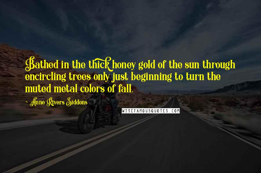 Anne Rivers Siddons Quotes: Bathed in the thick honey gold of the sun through encircling trees only just beginning to turn the muted metal colors of fall.