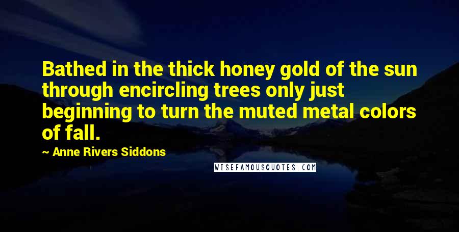 Anne Rivers Siddons Quotes: Bathed in the thick honey gold of the sun through encircling trees only just beginning to turn the muted metal colors of fall.