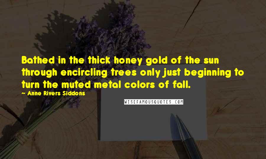 Anne Rivers Siddons Quotes: Bathed in the thick honey gold of the sun through encircling trees only just beginning to turn the muted metal colors of fall.
