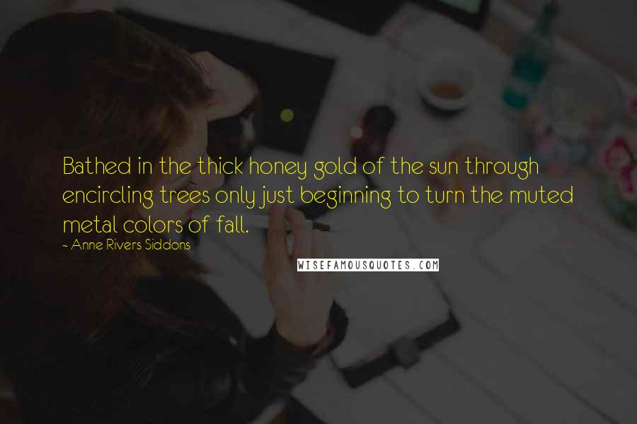 Anne Rivers Siddons Quotes: Bathed in the thick honey gold of the sun through encircling trees only just beginning to turn the muted metal colors of fall.