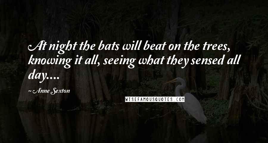 Anne Sexton Quotes: At night the bats will beat on the trees, knowing it all, seeing what they sensed all day....