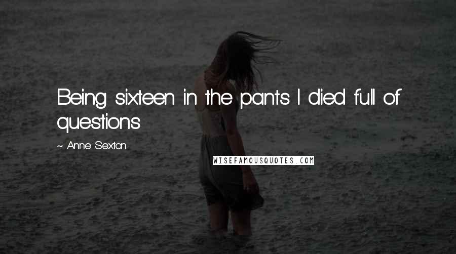 Anne Sexton Quotes: Being sixteen in the pants I died full of questions
