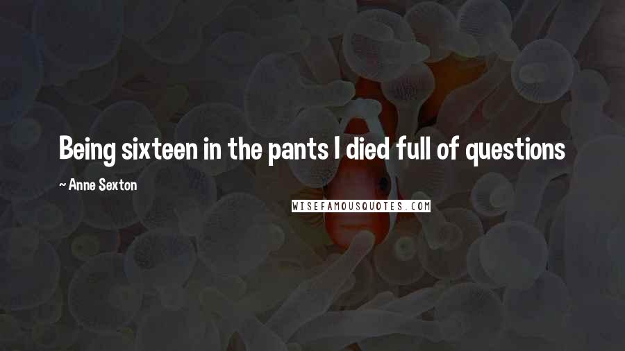 Anne Sexton Quotes: Being sixteen in the pants I died full of questions