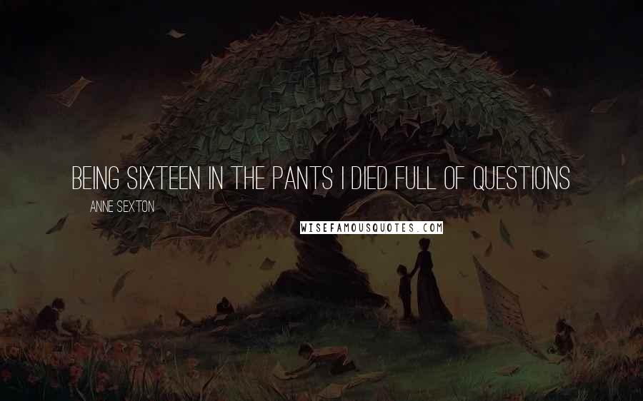 Anne Sexton Quotes: Being sixteen in the pants I died full of questions