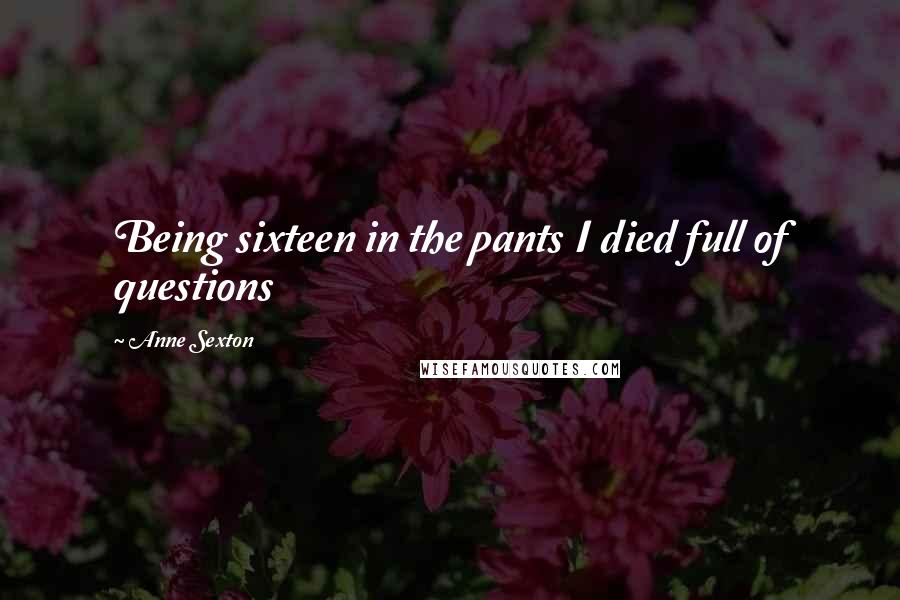 Anne Sexton Quotes: Being sixteen in the pants I died full of questions