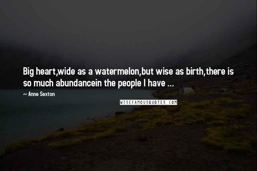 Anne Sexton Quotes: Big heart,wide as a watermelon,but wise as birth,there is so much abundancein the people I have ...