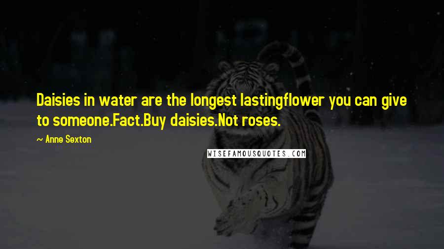 Anne Sexton Quotes: Daisies in water are the longest lastingflower you can give to someone.Fact.Buy daisies.Not roses.