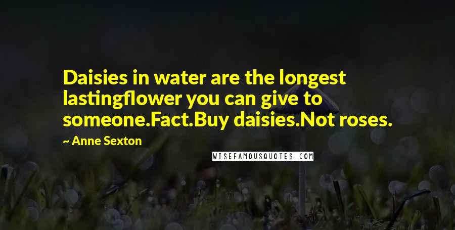 Anne Sexton Quotes: Daisies in water are the longest lastingflower you can give to someone.Fact.Buy daisies.Not roses.