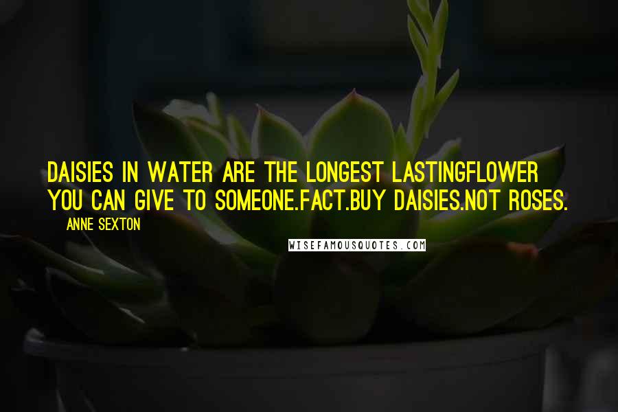 Anne Sexton Quotes: Daisies in water are the longest lastingflower you can give to someone.Fact.Buy daisies.Not roses.