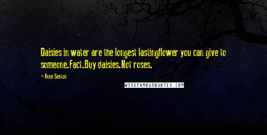 Anne Sexton Quotes: Daisies in water are the longest lastingflower you can give to someone.Fact.Buy daisies.Not roses.