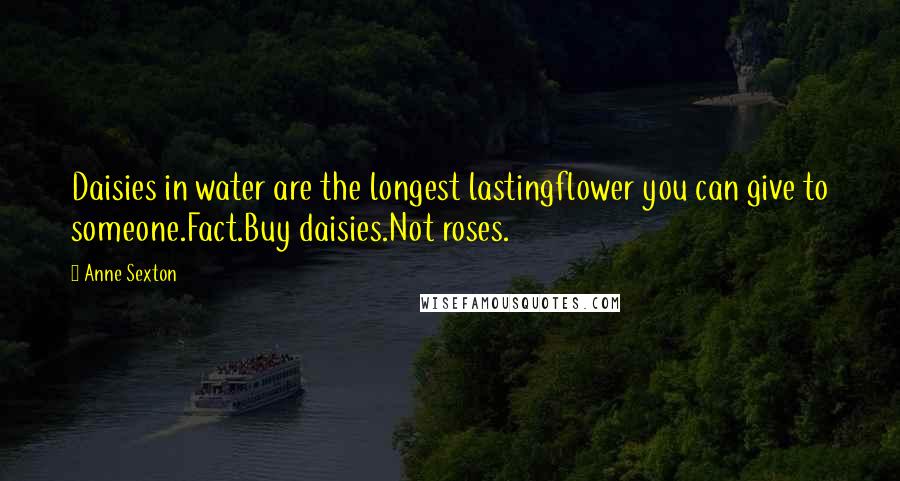 Anne Sexton Quotes: Daisies in water are the longest lastingflower you can give to someone.Fact.Buy daisies.Not roses.