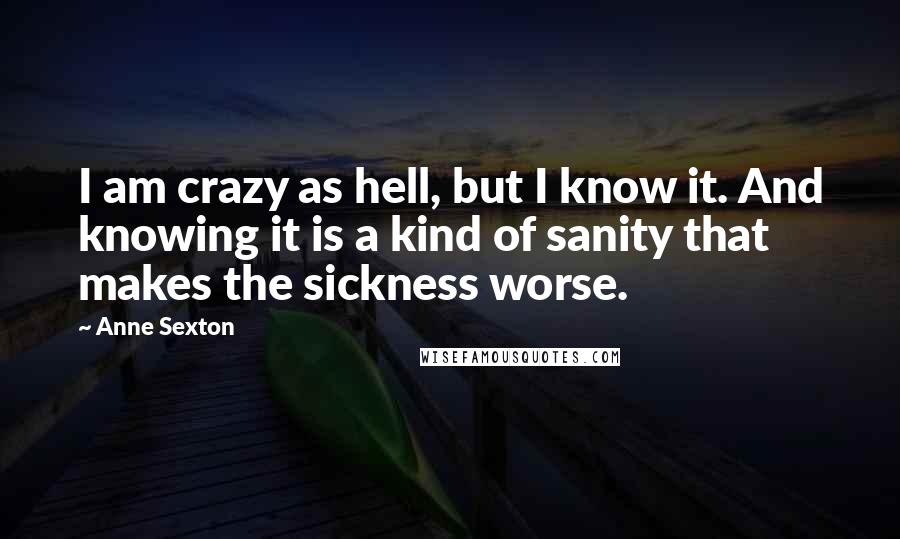 Anne Sexton Quotes: I am crazy as hell, but I know it. And knowing it is a kind of sanity that makes the sickness worse.