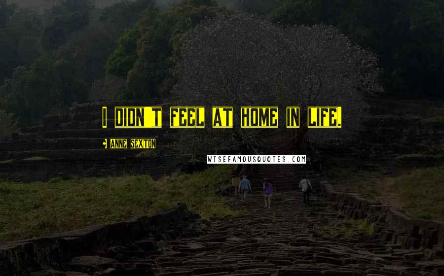 Anne Sexton Quotes: I didn't feel at home in life.