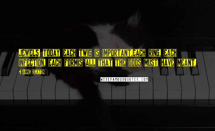 Anne Sexton Quotes: Jewels! Today each twig is important,each ring, each infection, each formis all that the gods must have meant.