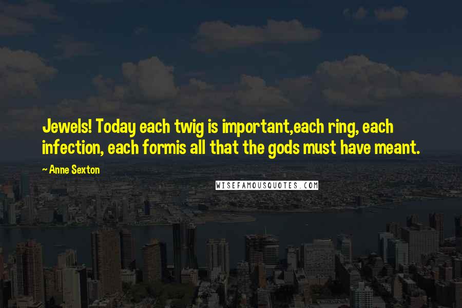 Anne Sexton Quotes: Jewels! Today each twig is important,each ring, each infection, each formis all that the gods must have meant.