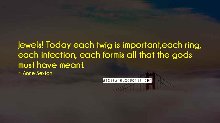 Anne Sexton Quotes: Jewels! Today each twig is important,each ring, each infection, each formis all that the gods must have meant.