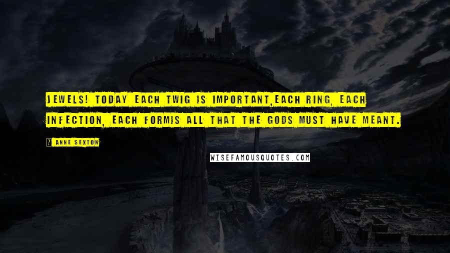 Anne Sexton Quotes: Jewels! Today each twig is important,each ring, each infection, each formis all that the gods must have meant.