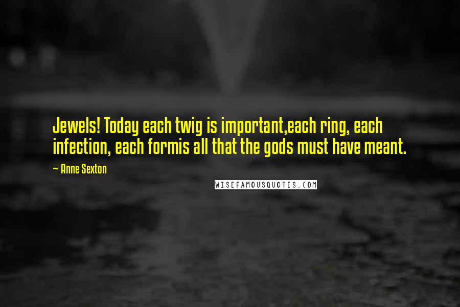 Anne Sexton Quotes: Jewels! Today each twig is important,each ring, each infection, each formis all that the gods must have meant.