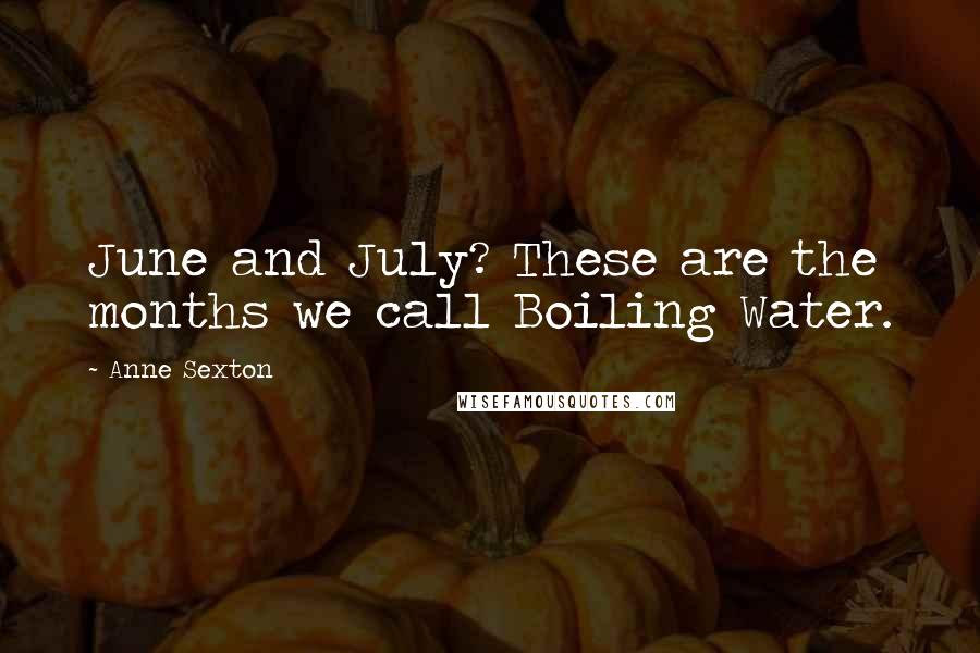 Anne Sexton Quotes: June and July? These are the months we call Boiling Water.