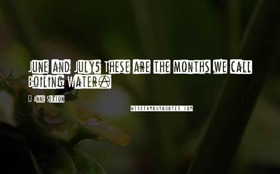 Anne Sexton Quotes: June and July? These are the months we call Boiling Water.