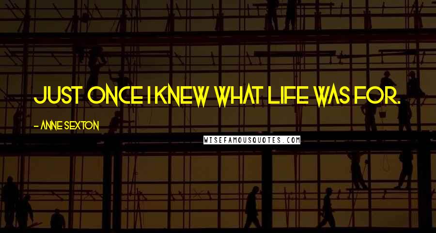 Anne Sexton Quotes: Just once I knew what life was for.