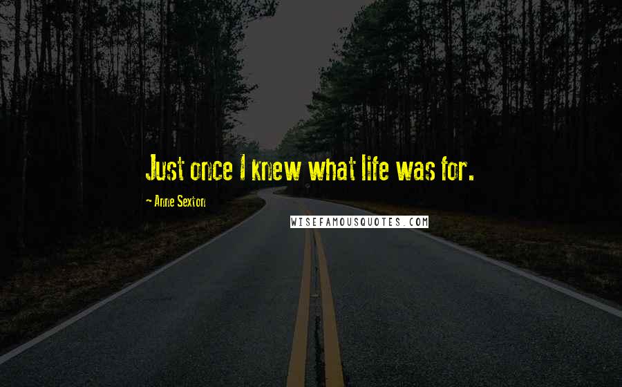 Anne Sexton Quotes: Just once I knew what life was for.