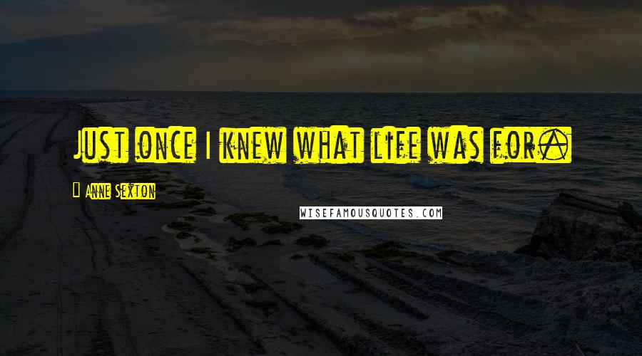 Anne Sexton Quotes: Just once I knew what life was for.