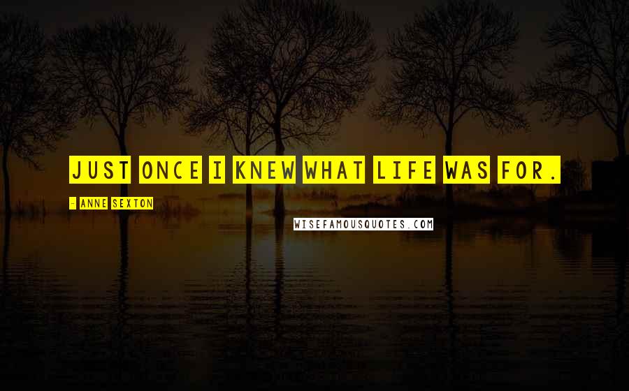 Anne Sexton Quotes: Just once I knew what life was for.