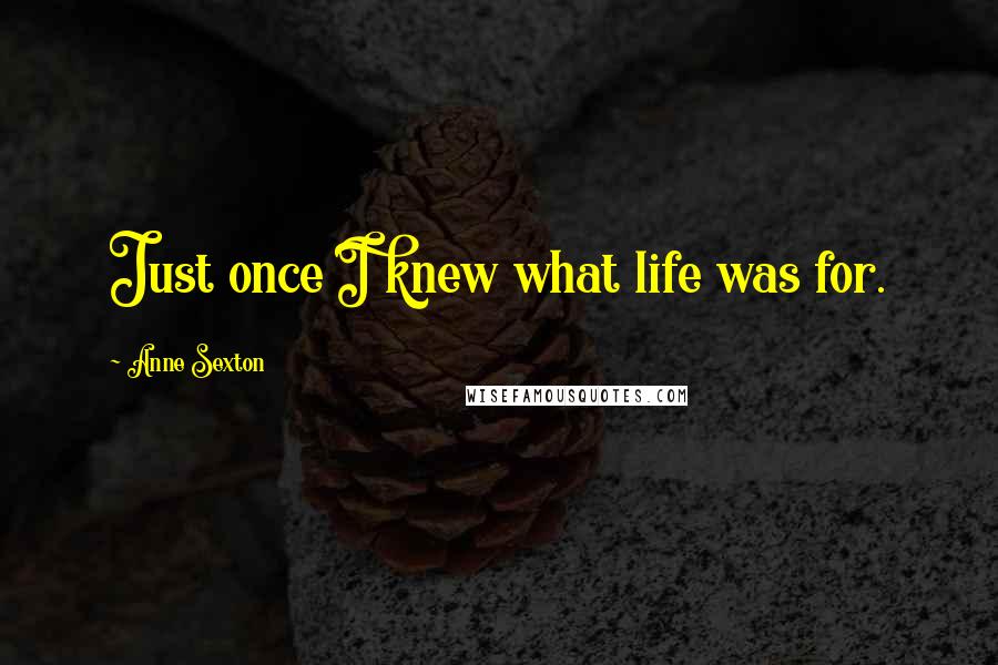 Anne Sexton Quotes: Just once I knew what life was for.