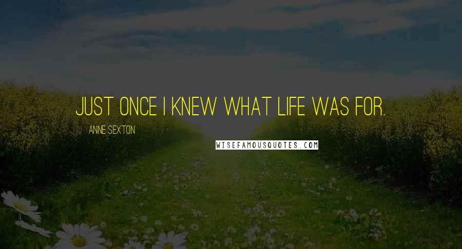 Anne Sexton Quotes: Just once I knew what life was for.